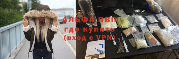 ПСИЛОЦИБИНОВЫЕ ГРИБЫ Кодинск