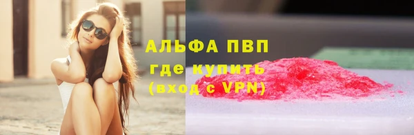 ПСИЛОЦИБИНОВЫЕ ГРИБЫ Кодинск