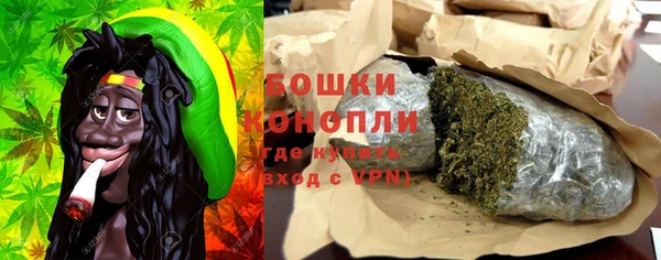 хмурый Козловка