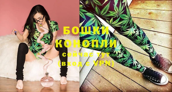 хмурый Козловка