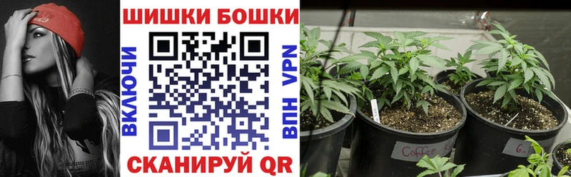 Купить закладки  Духовщина  Канабис OG Kush 